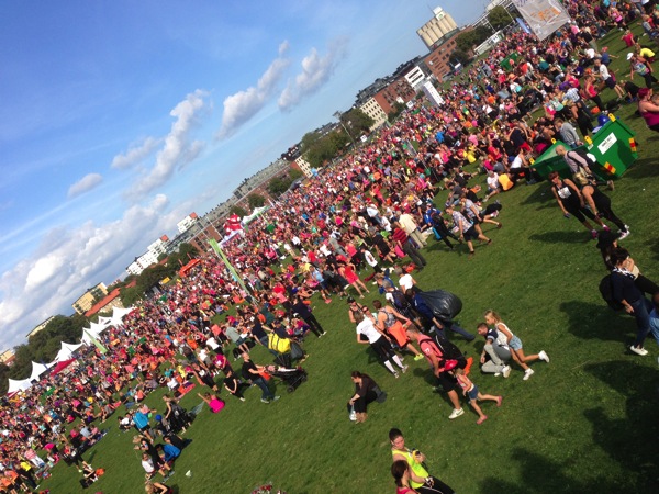 IMG_3980.JPG IMG 3980